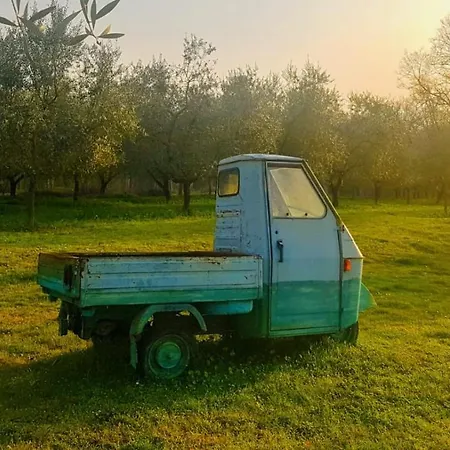 Agriturismo Casale Rosarossa Alloggio per agriturismo Arce